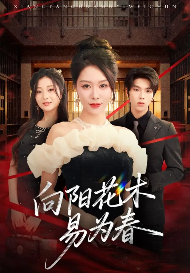 《新：向阳花木易为春》：新时代女性觉醒，破茧成蝶的励志赞歌，暖心治愈