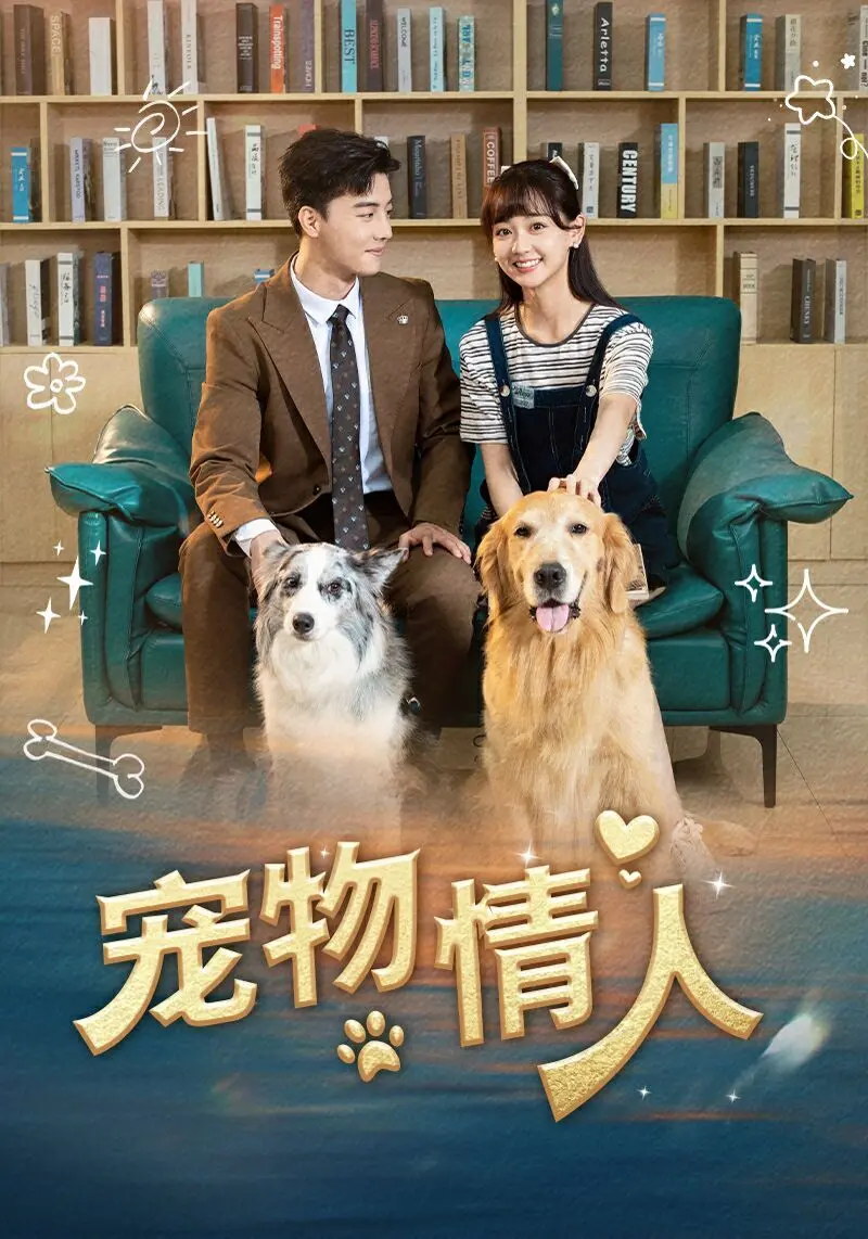 《宠物情人》：御姐与忠犬的甜蜜羁绊，治愈你的少女心！剧情、看点全解析